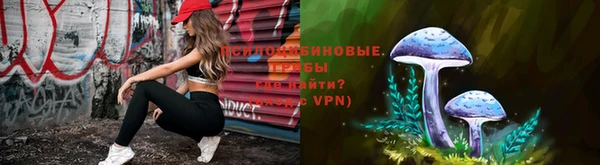 дживик Баксан