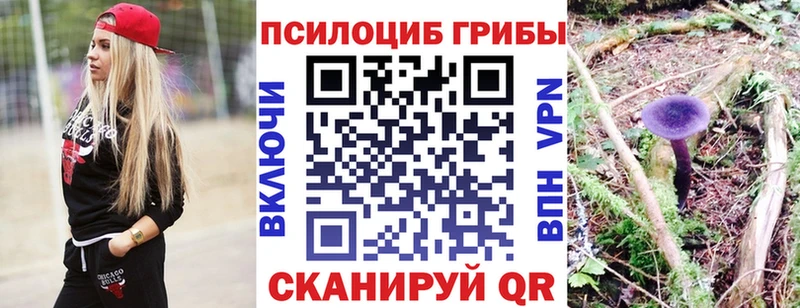 Псилоцибиновые грибы Magic Shrooms  закладка  MEGA ССЫЛКА  Николаевск-на-Амуре 